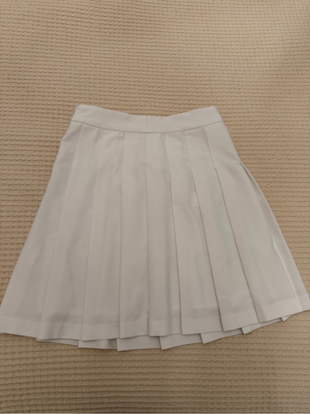 Aritzia Sunday Best skirt